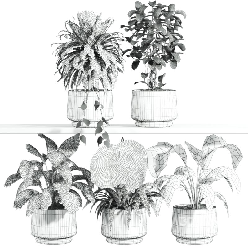 plants set on shelf Image 2