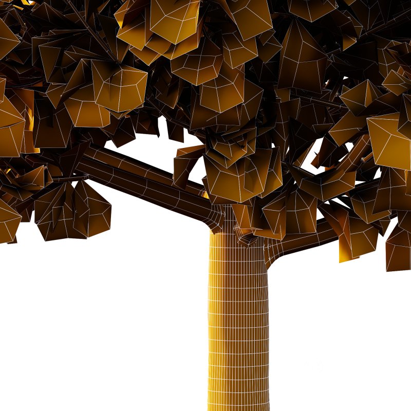 Maidenhair Ginkgo Biloba Tree 01 Image 6