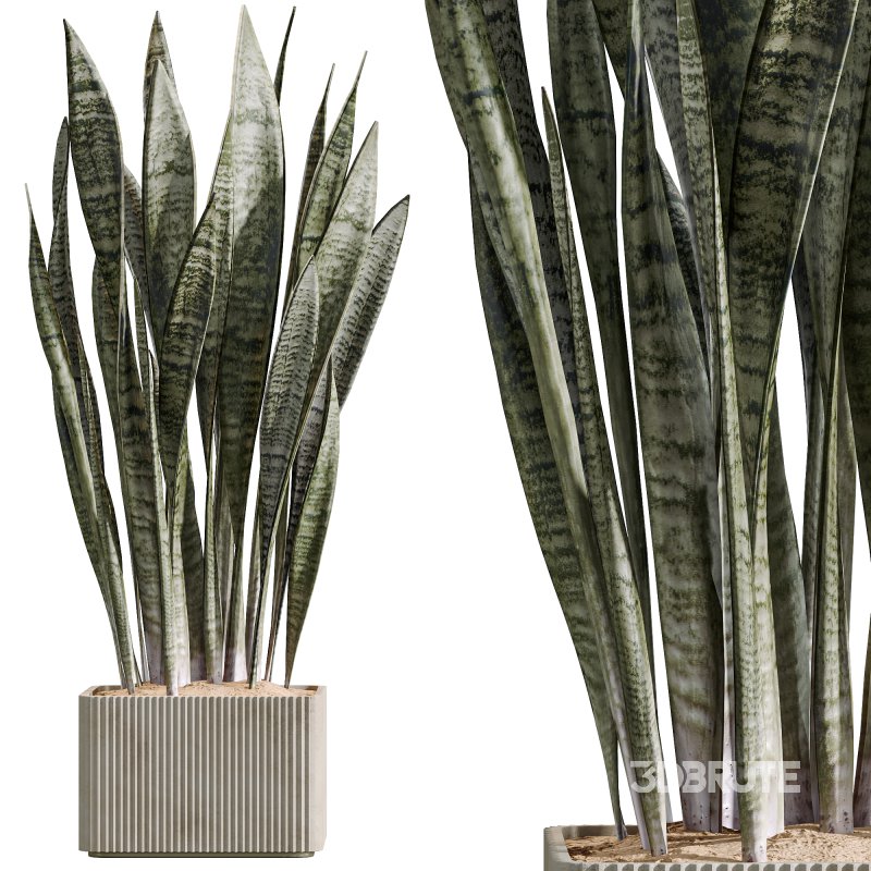 AV Indoor Plants Set 264 Image 2