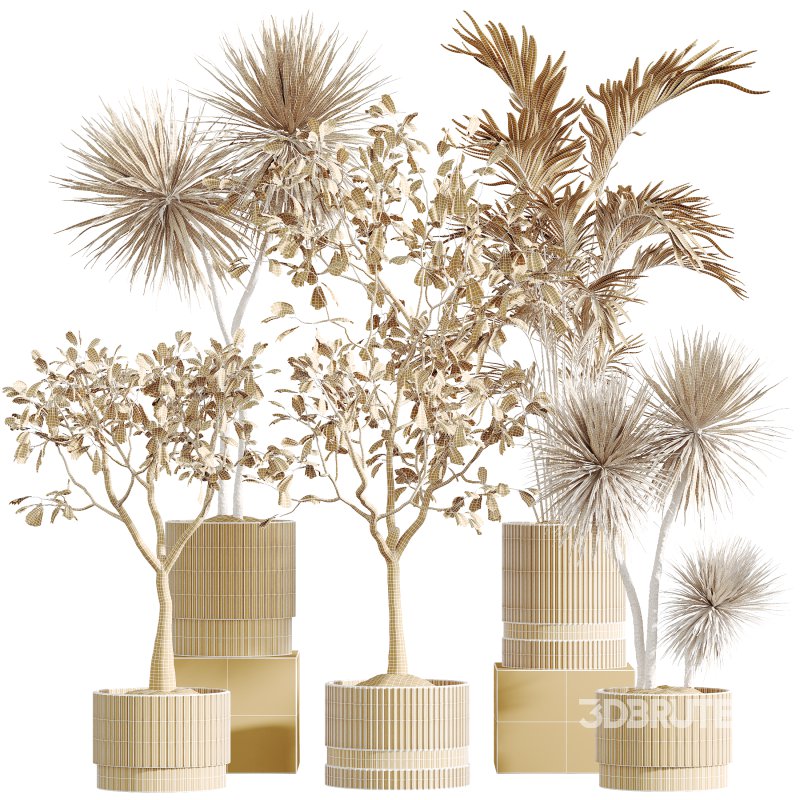 AV Indoor Plants Set 275 Mega Pack Yucca Areca Palm Japandi Ficus Image 9