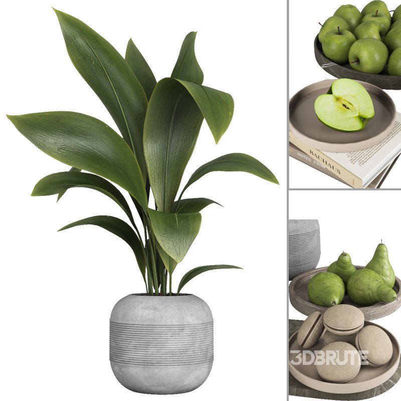 Decorative set 029 Image 1