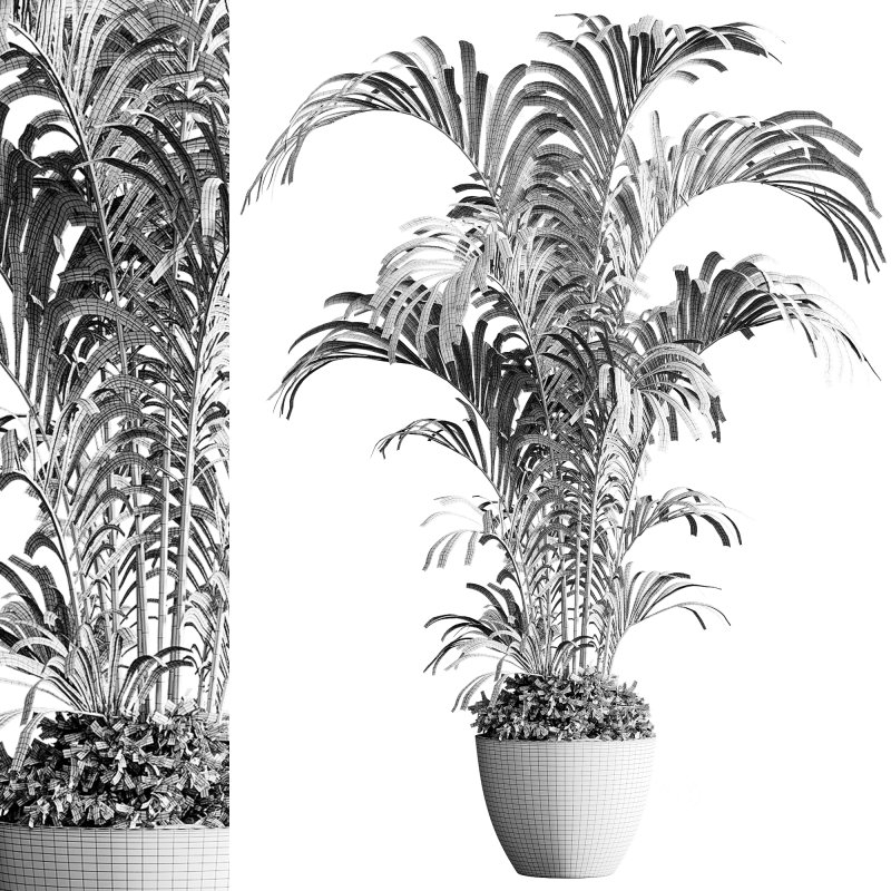 indoor plants 125 – plant in pot Image 7