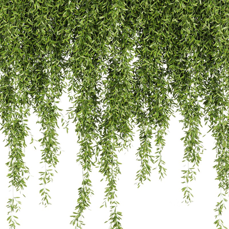 Indoor Plants – 21 hanging plants in pots Image 1