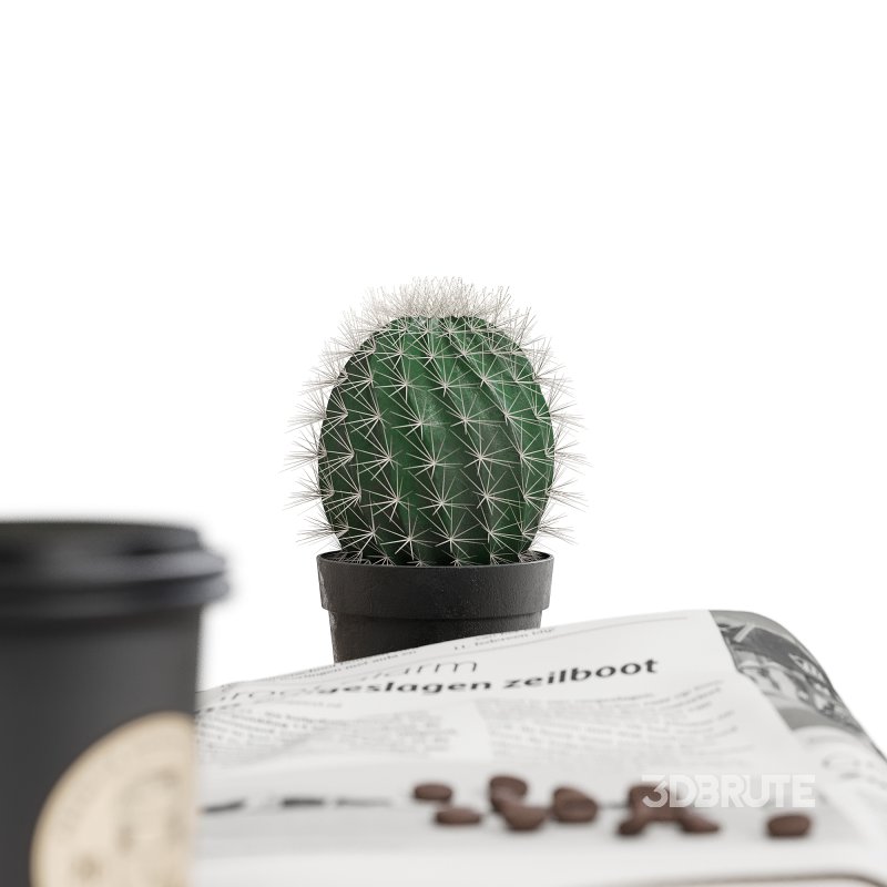 Decoratives_set_19 Image 1