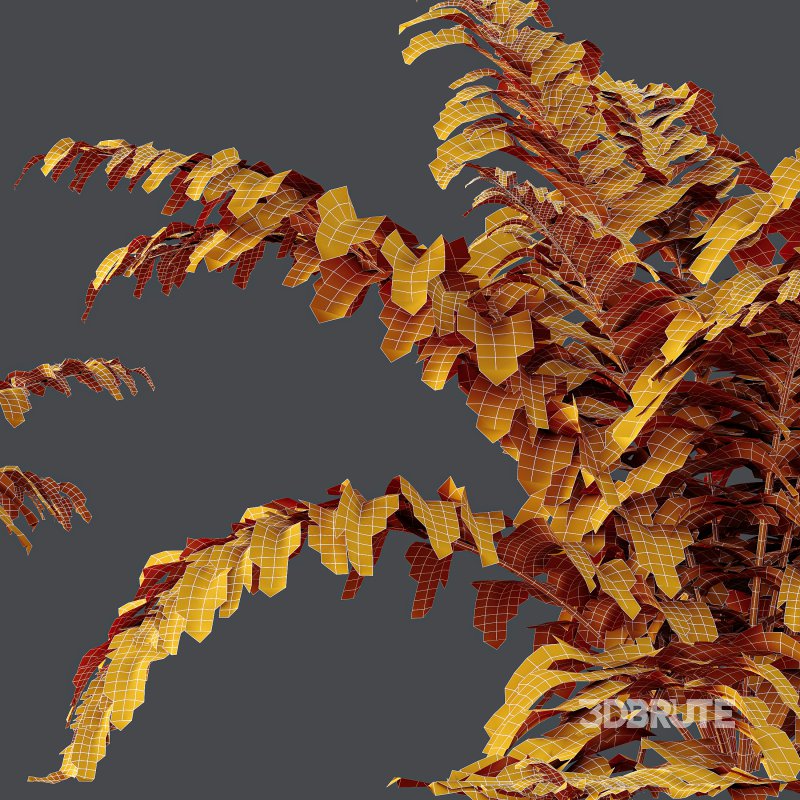 ntal gardens. It introduces a tender and romantic texture, ideal for rendering borders, wildflower beds, or traditional landscaping scenes. Image 14