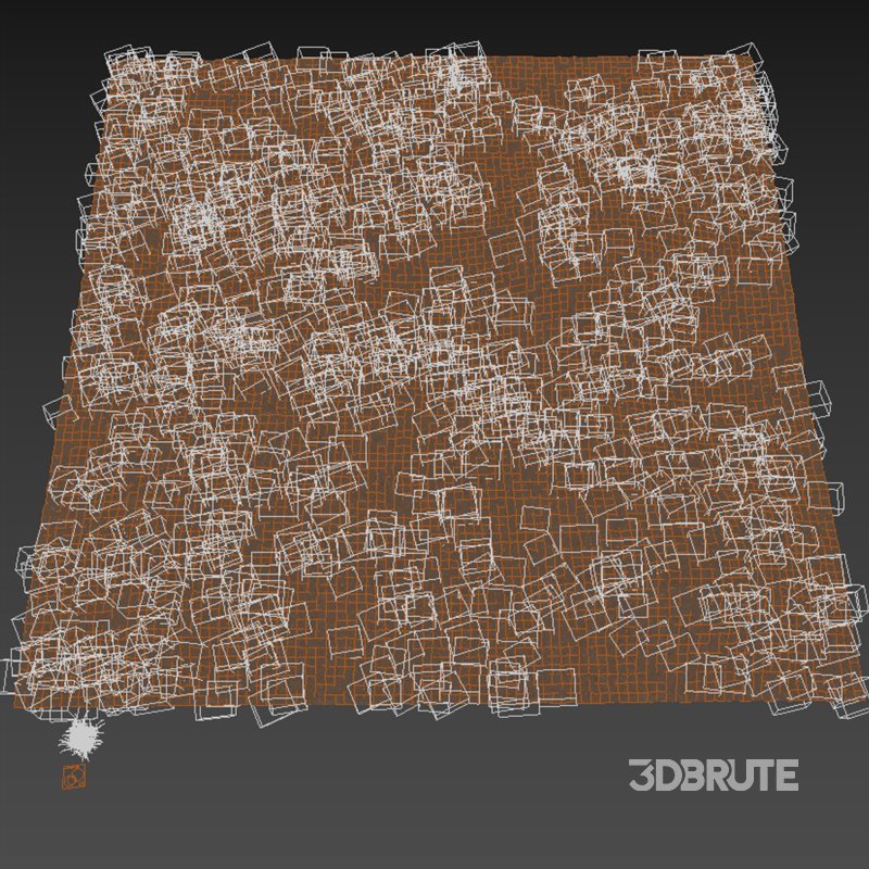 meadow (autumn) Image 9