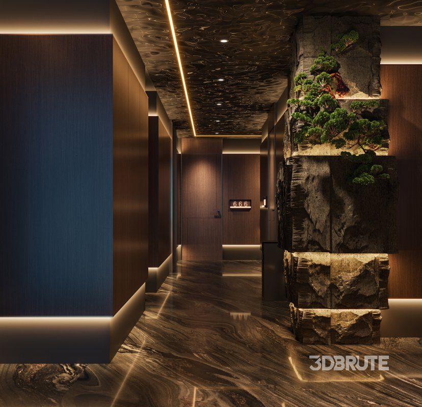 Chinese Hotel reception and hallway Image 4