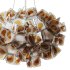 Clizia Suspension light - Thumbnail 8