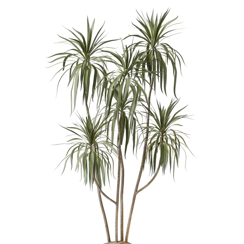 AV Indoor Plants Set 264 Image 3