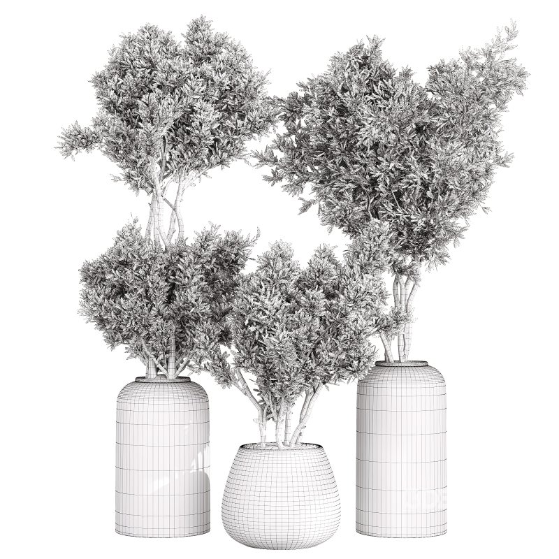 Indoor Collection plants 05 Image 6