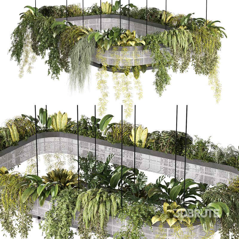 hanging indoor plants 02 Image 2