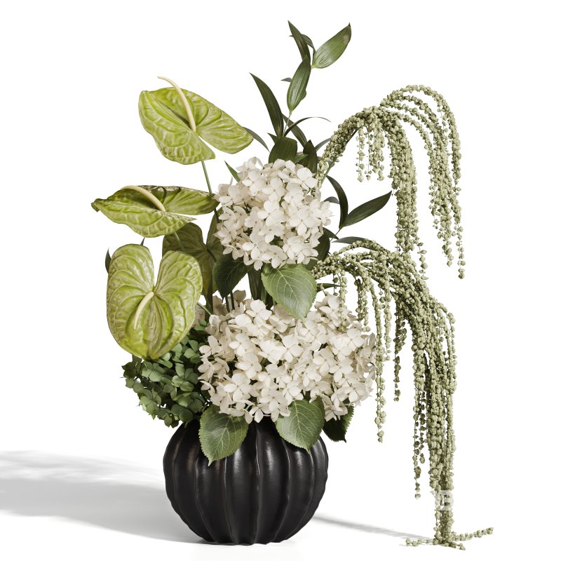 Ivory Hydrangea in a Calm Floral Scene Image 1