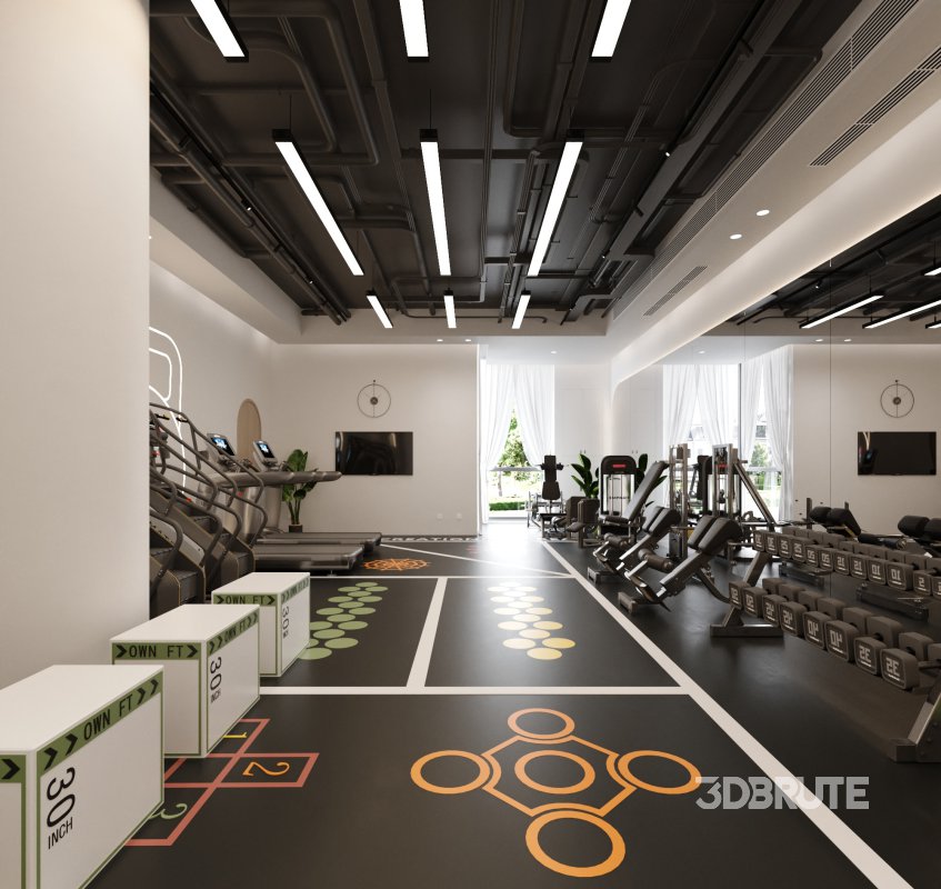 Modern Gym Image 2