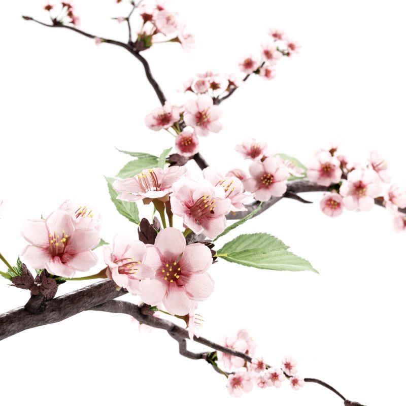 Decorative Bouquet set 33 Image 1