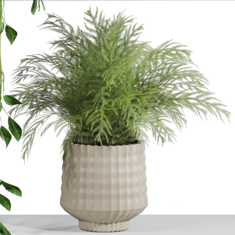 plants set on shelf Image 2