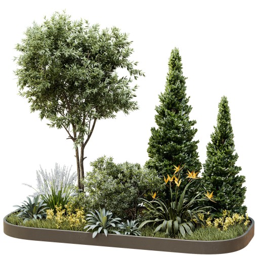 Outdoor Plant 44