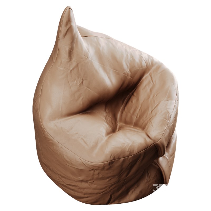 Bean Bag Image 4