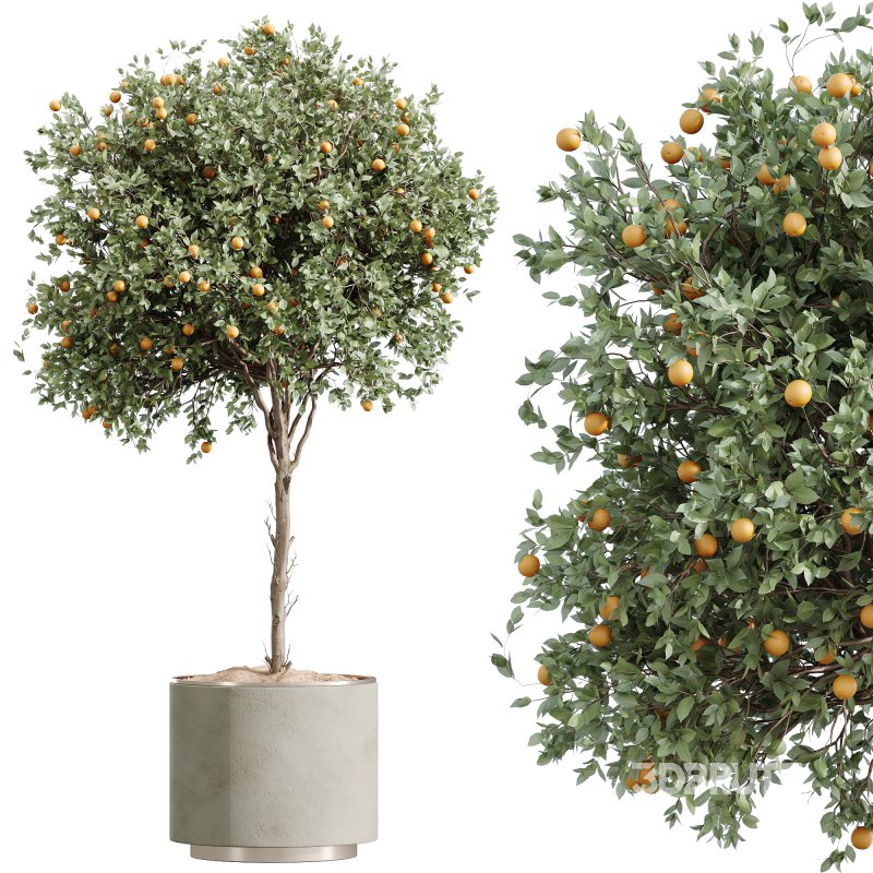 AV Indoor Plants Set 249 Image 5