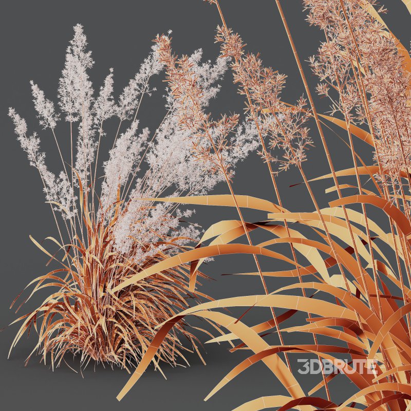 ntal grasses—**Celtica gigantea** (Golden Oats Grass) and **Nassella tenuissima** (Mexican Feather Grass)—curated for naturalistic, windswept landscapes and high-end 3D visualizations. Image 13