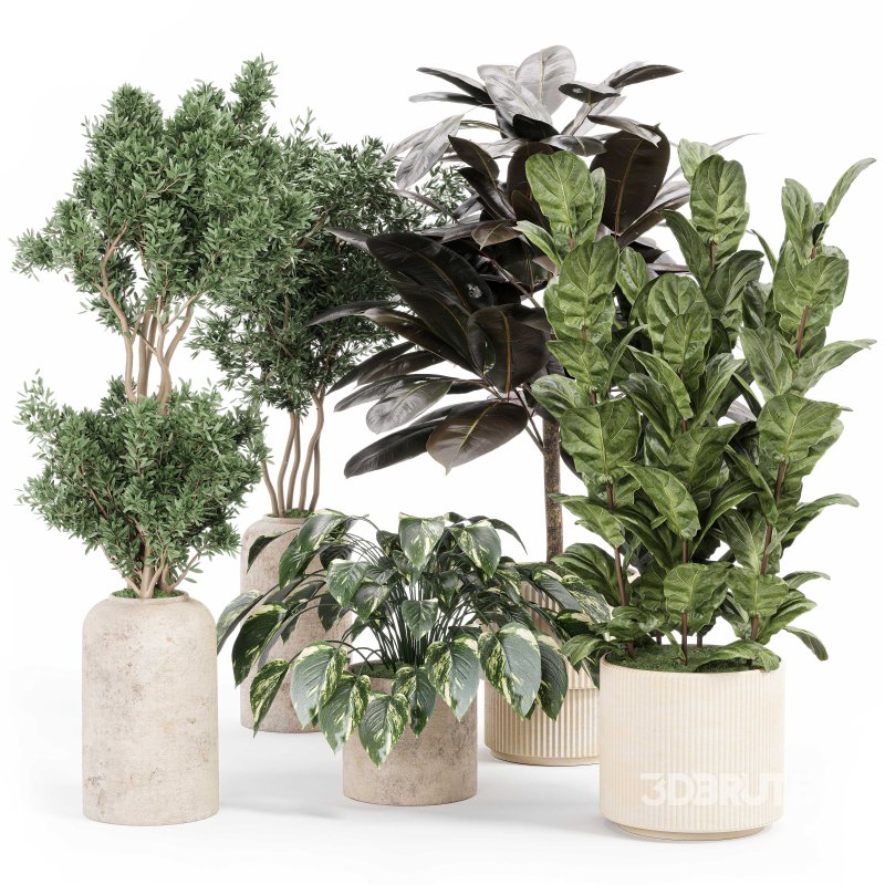 Indoor_plant_set_with_plant_tree_concrete_dirt_vase Image 5