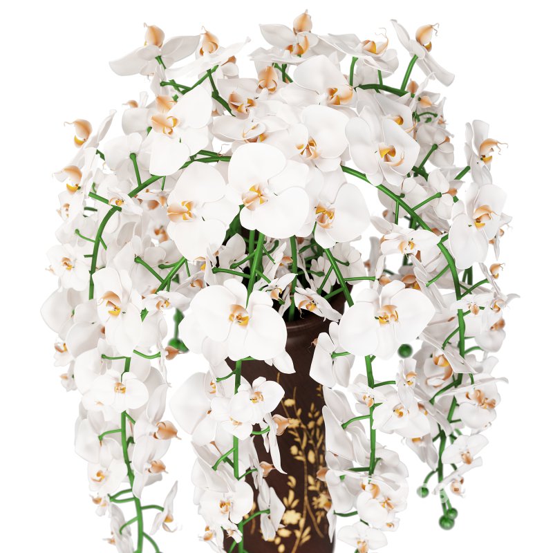 Orchid bouquet for interior Image 2