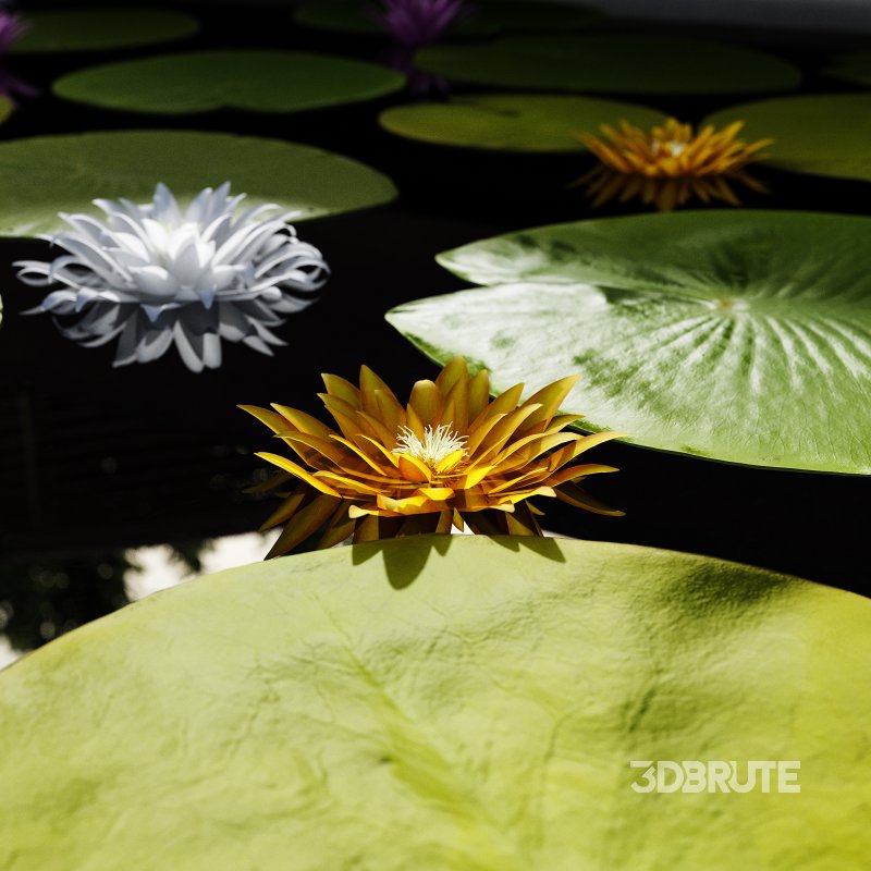 Outdoor Plants – town Square 2 Image 3