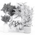 Indoor_plant_set_with_plant_tree_concrete_dirt_vase - Thumbnail 4