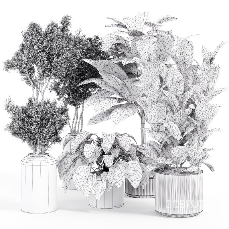 Indoor_plant_set_with_plant_tree_concrete_dirt_vase Image 4