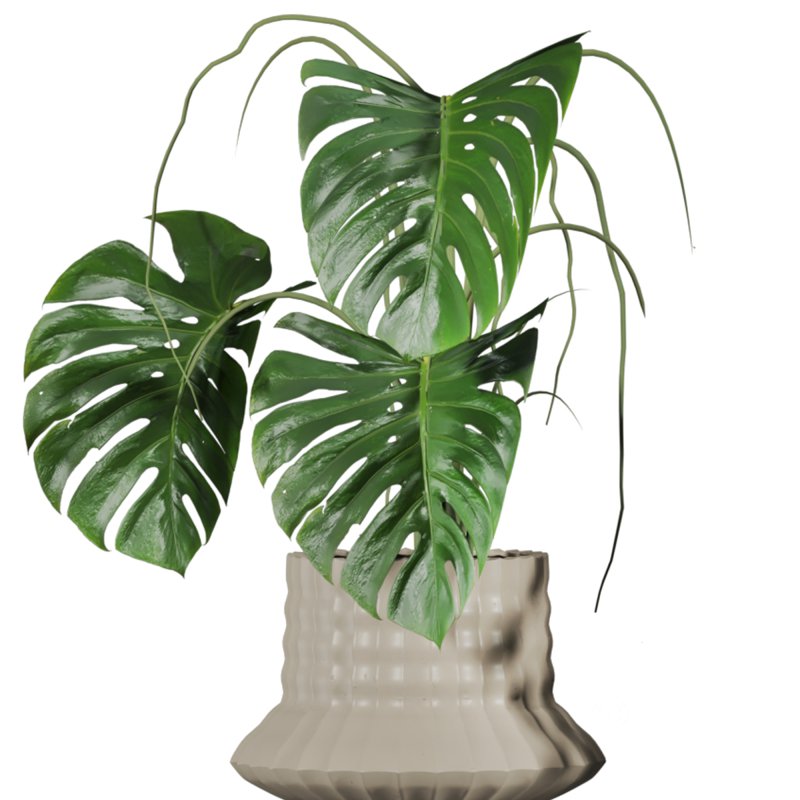 plants set on shelf Image 3