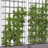 Vertical Garden Partiton plants 05 - Thumbnail 1