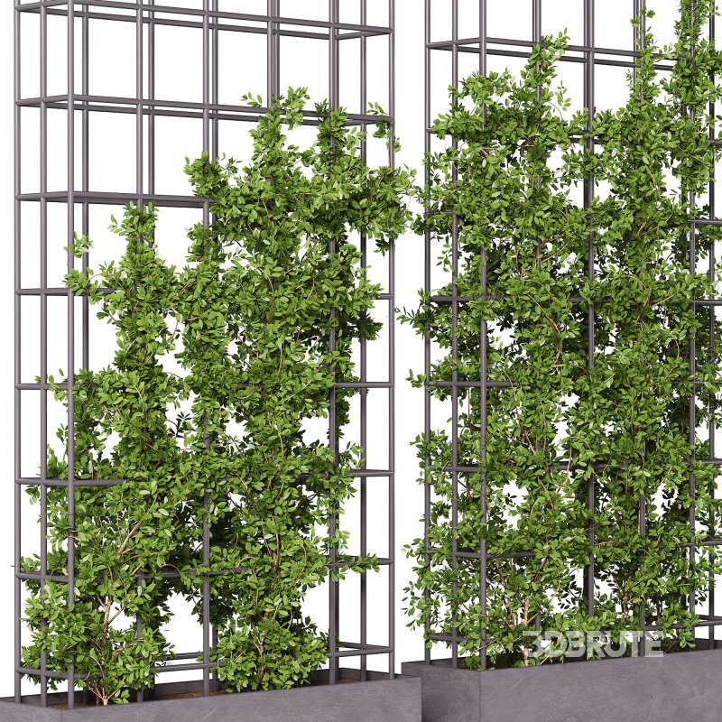 Vertical Garden Partiton plants 05 Image 1