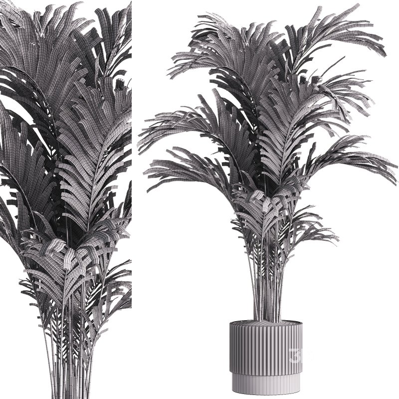 indoor plants – 30 plant in pot Image 1