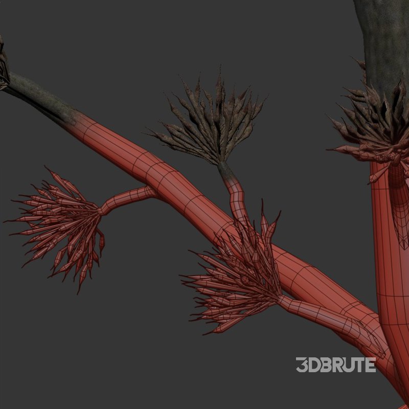 Bouquet set 18 Image 3