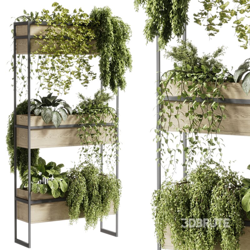 indoor plants – 114 Plant Stand Image 2