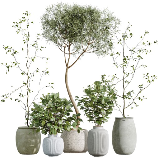 AV Indoor Plants Set 271 Japandi Ficus Dracaena Marginata and Foliage Dollar Authentic Eucalyptus Bouquet