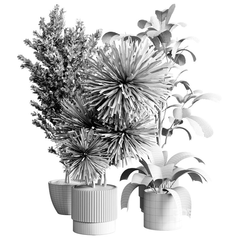 indoor plants 119 – plant collections in pot Image 2