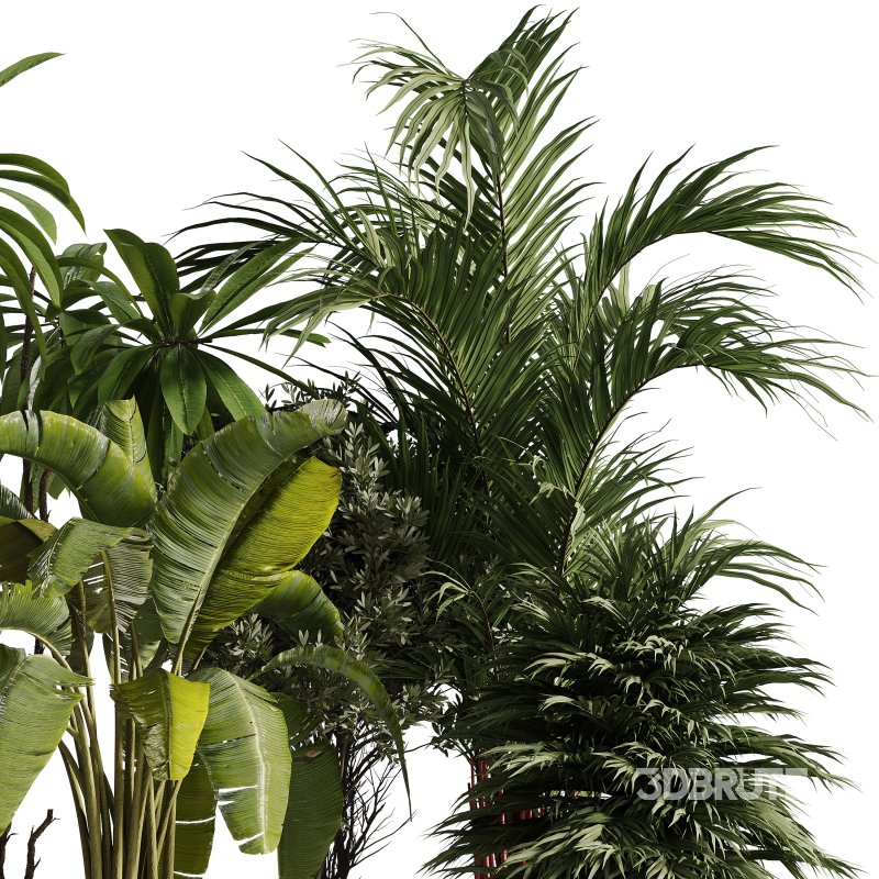 Indoor Plants collection – 72 Plants in pot Image 2