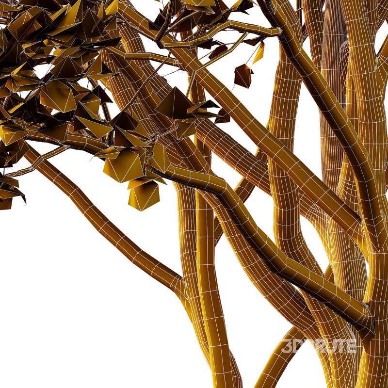 Acer Pseudoplatanus spring trees 07 Image 1