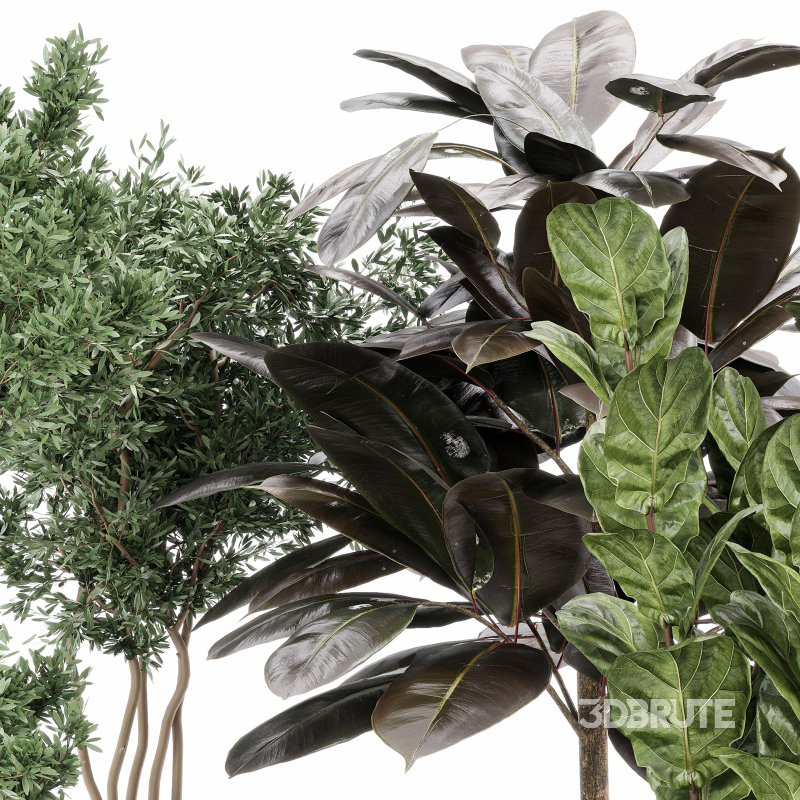 Indoor_plant_set_with_plant_tree_concrete_dirt_vase Image 3