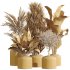 AV Indoor Plants Set 248 Pelagio Palm and Yucca Elephantipes and Cuban Cigar and Olive Elegant and Peace Lily - Thumbnail 6