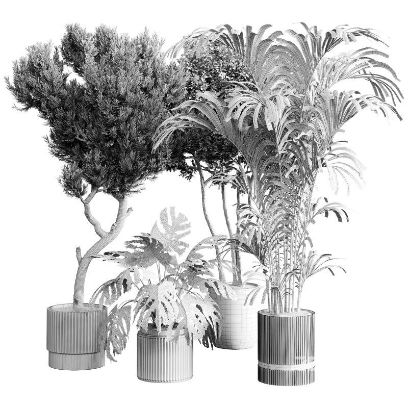 indoor plants 122 – plant collections in pot Image 1