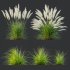 ntal grasses—**Nassella tenuissima**, also known as Mexican Feather Grass, and **Carex elata ‘Aurea’**, a golden sedge celebrated for its radiant chartreuse foliage. - Thumbnail 8