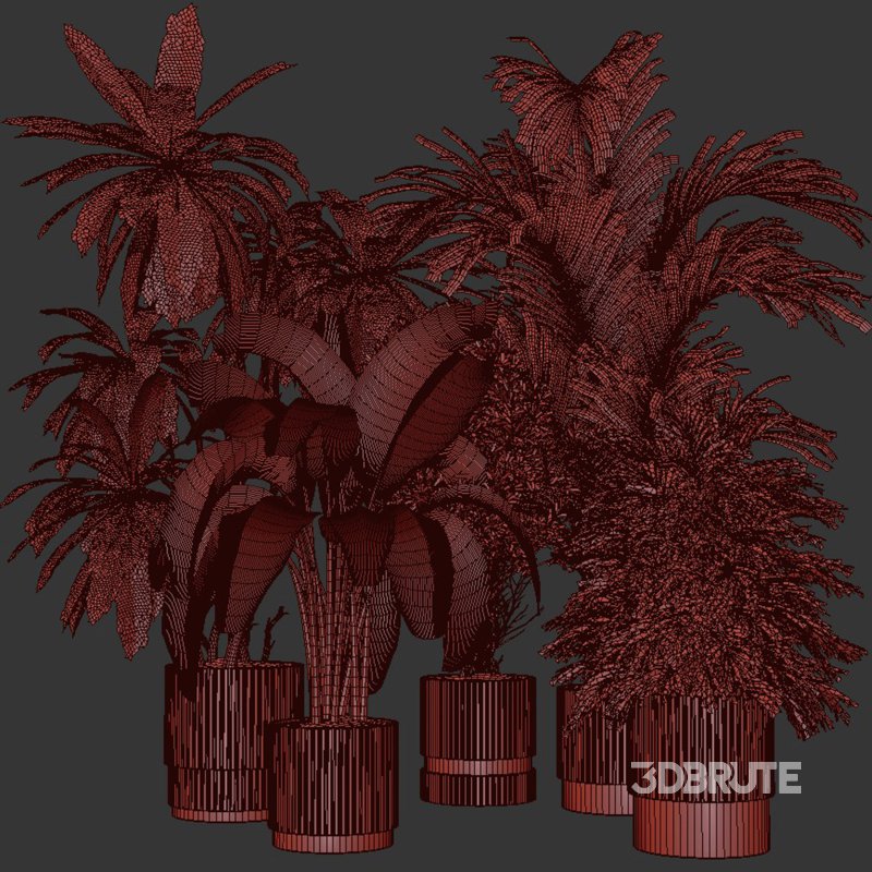 Indoor Plants collection – 72 Plants in pot Image 1