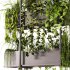 Indoor Plants – 23 Hanging plants - Thumbnail 14