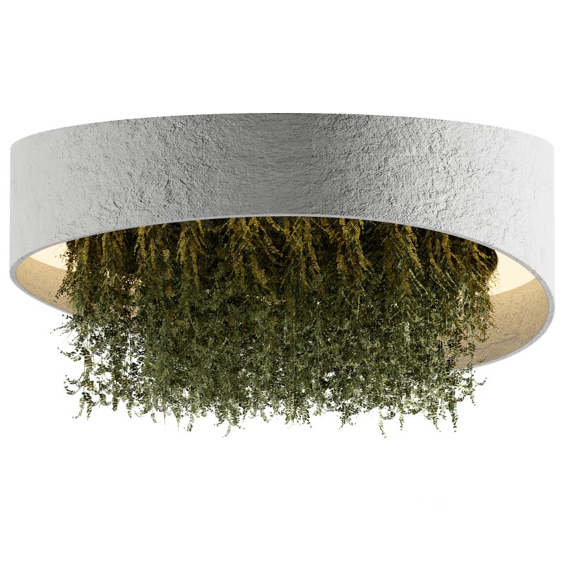 Reception Desk With Hanging Plants-set 14 Image 1