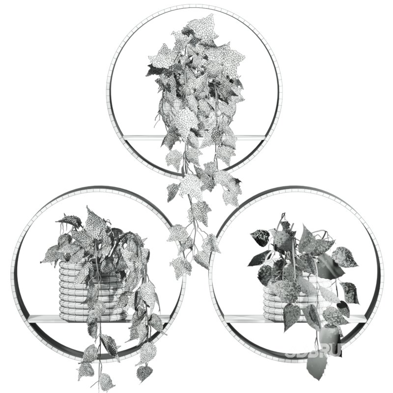 plants on shelf Image 2