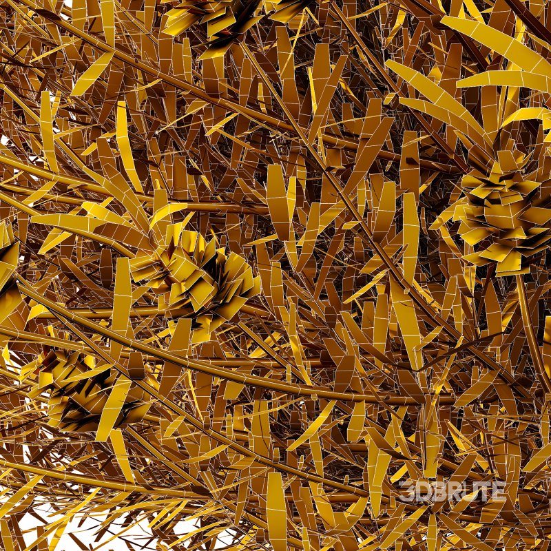 plant bush Flower Lavandula Stoechas 02 Image 5