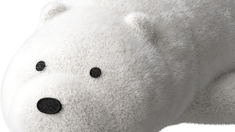 White_Bear Image 4