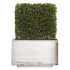 Hedge Set 01 - Thumbnail 3