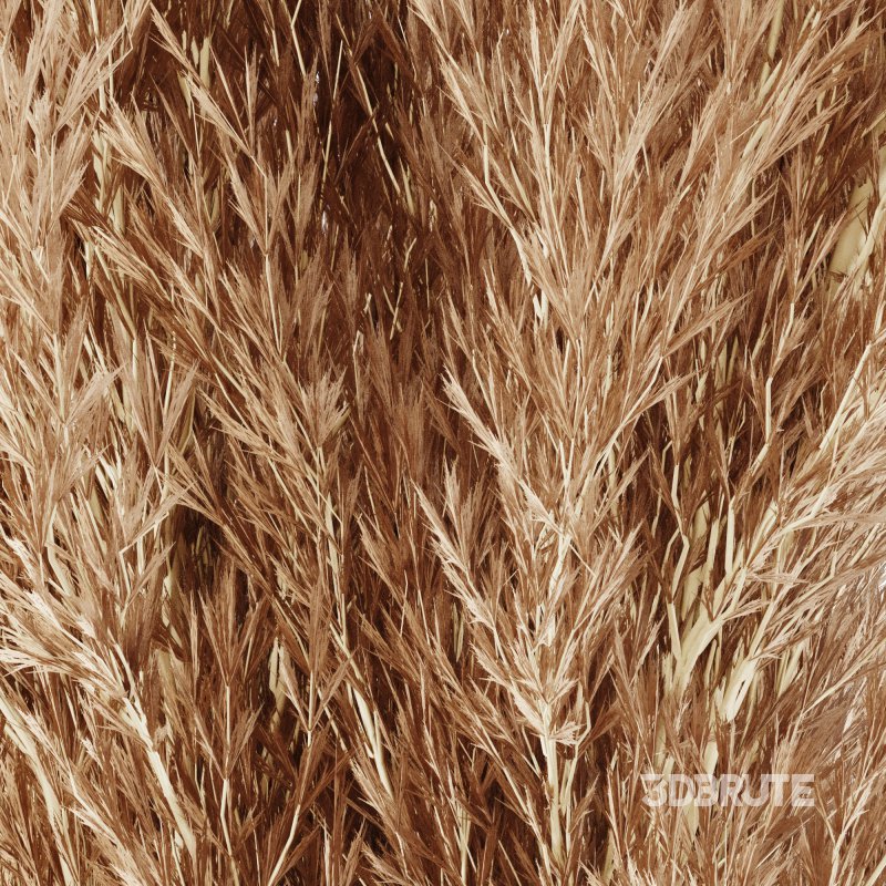 Minimal Pampas Bouquet in Glass Vase Image 3